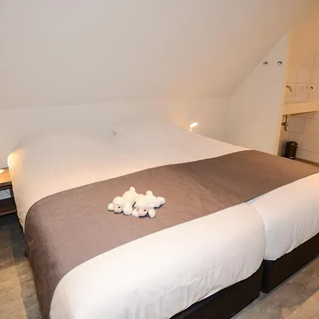 Razende Bol Prázdninový dům De Koog (Texel)